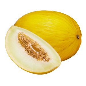 Melone Gialletto