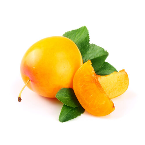 Prugna Sungold