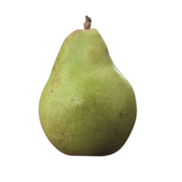 Pera Decana Doyenne du Comice_Compagnia della Frutta